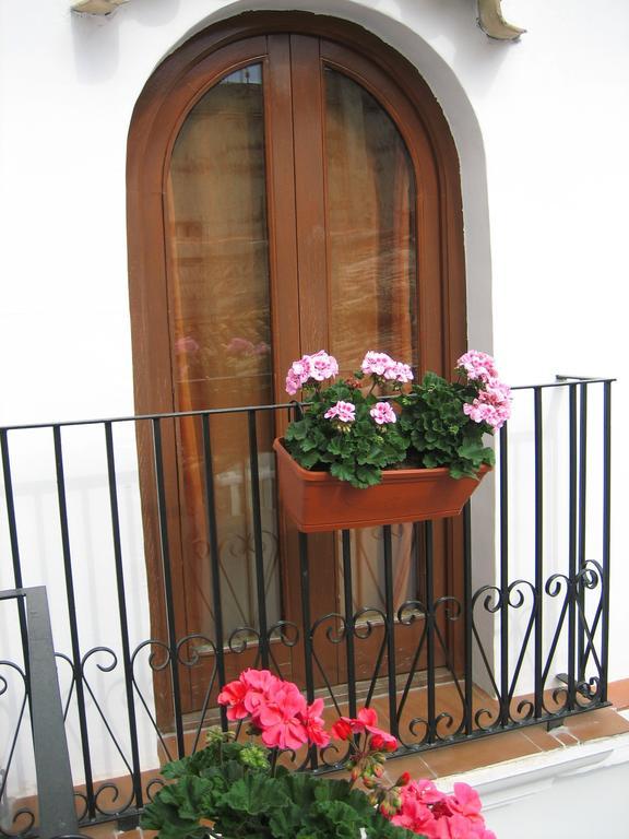 Pension Oliva Exterior foto